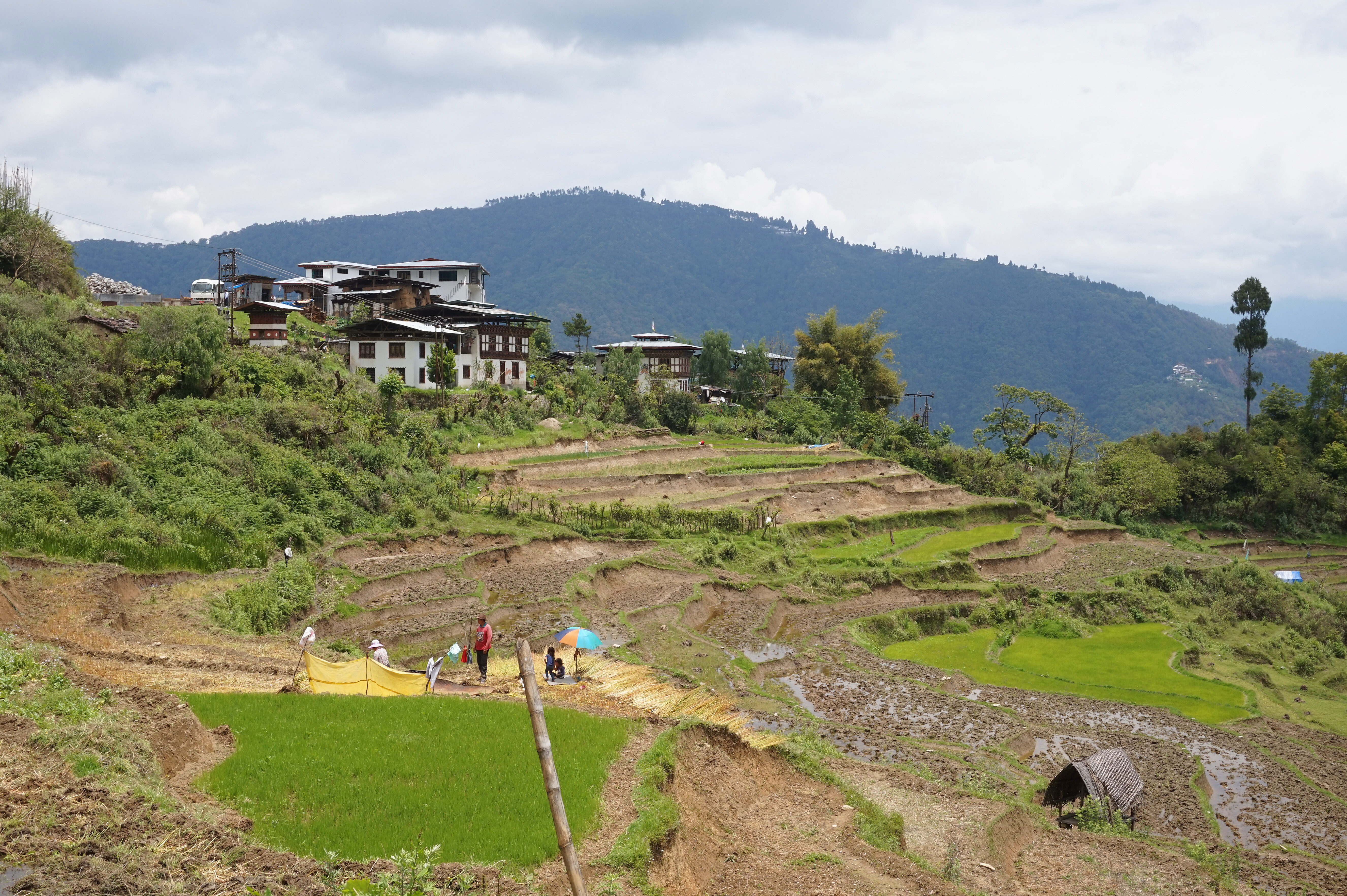 Bhutan: The Last Himalayan Kingdom — High-Value, Low-Impact Travel in 2026