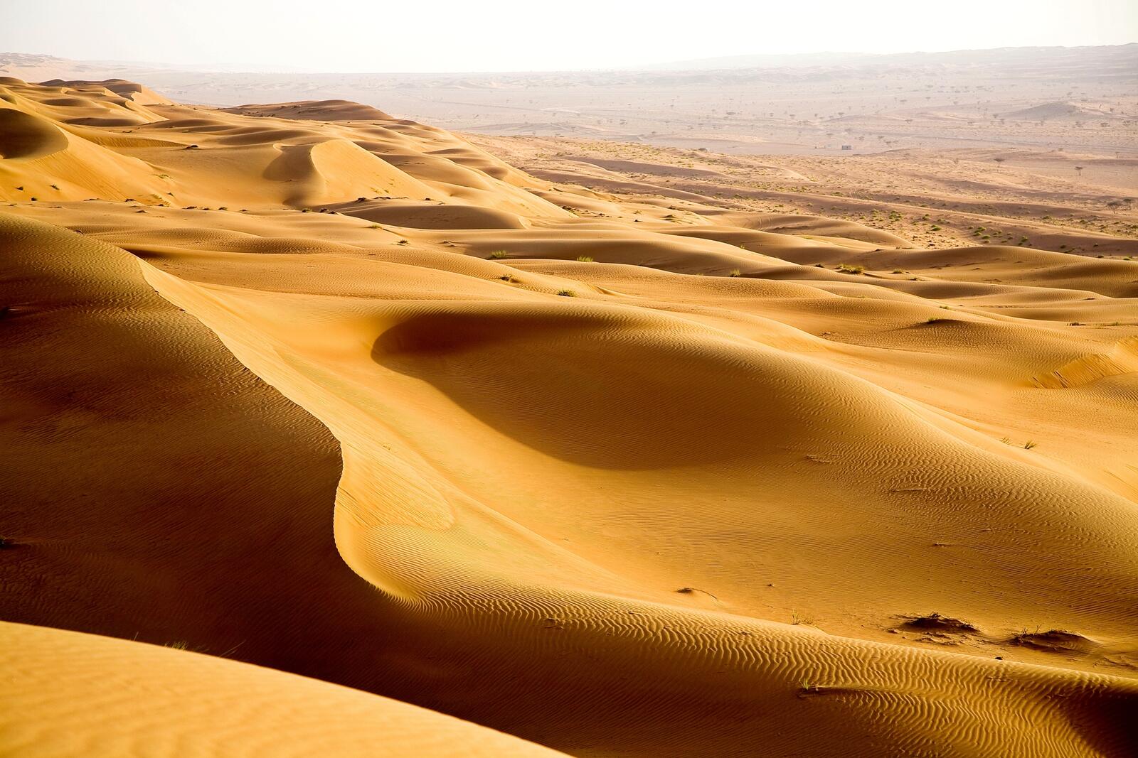 Oman: The Desert That Teaches You What Silence Means