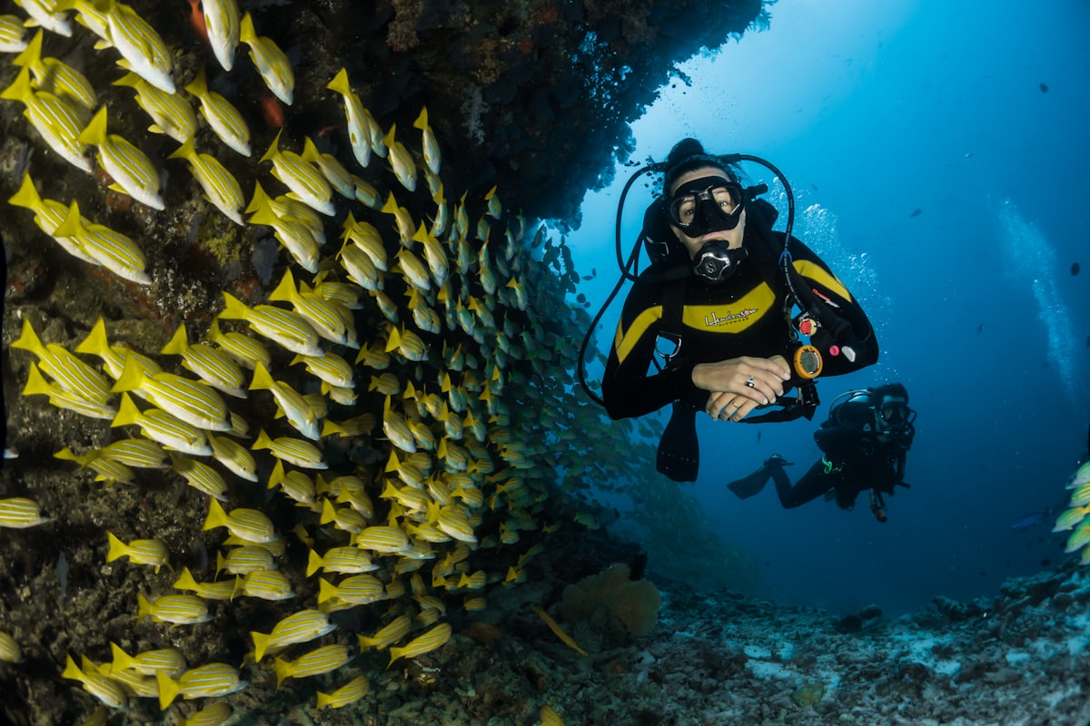 Scuba Diving in Raja Ampat