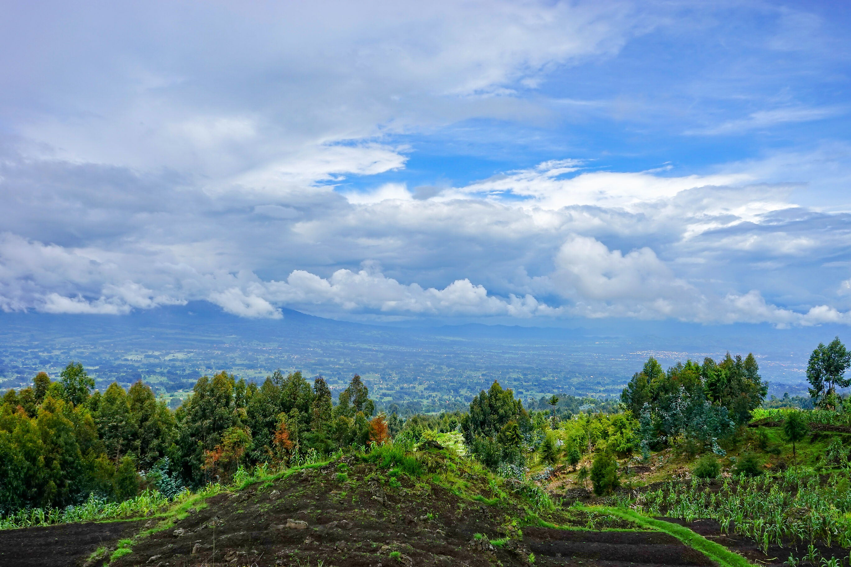 Rwanda: Gorilla Trekking in Volcanoes National Park — The 7-Day Journey to Meet Mountain Gorillas