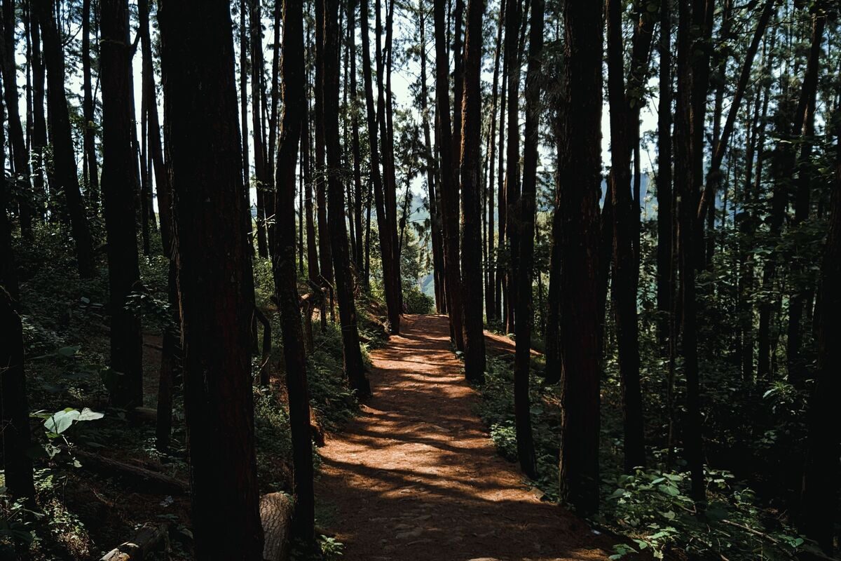 Slow Travel: The Art of Staying Longer and Traveling Deeper