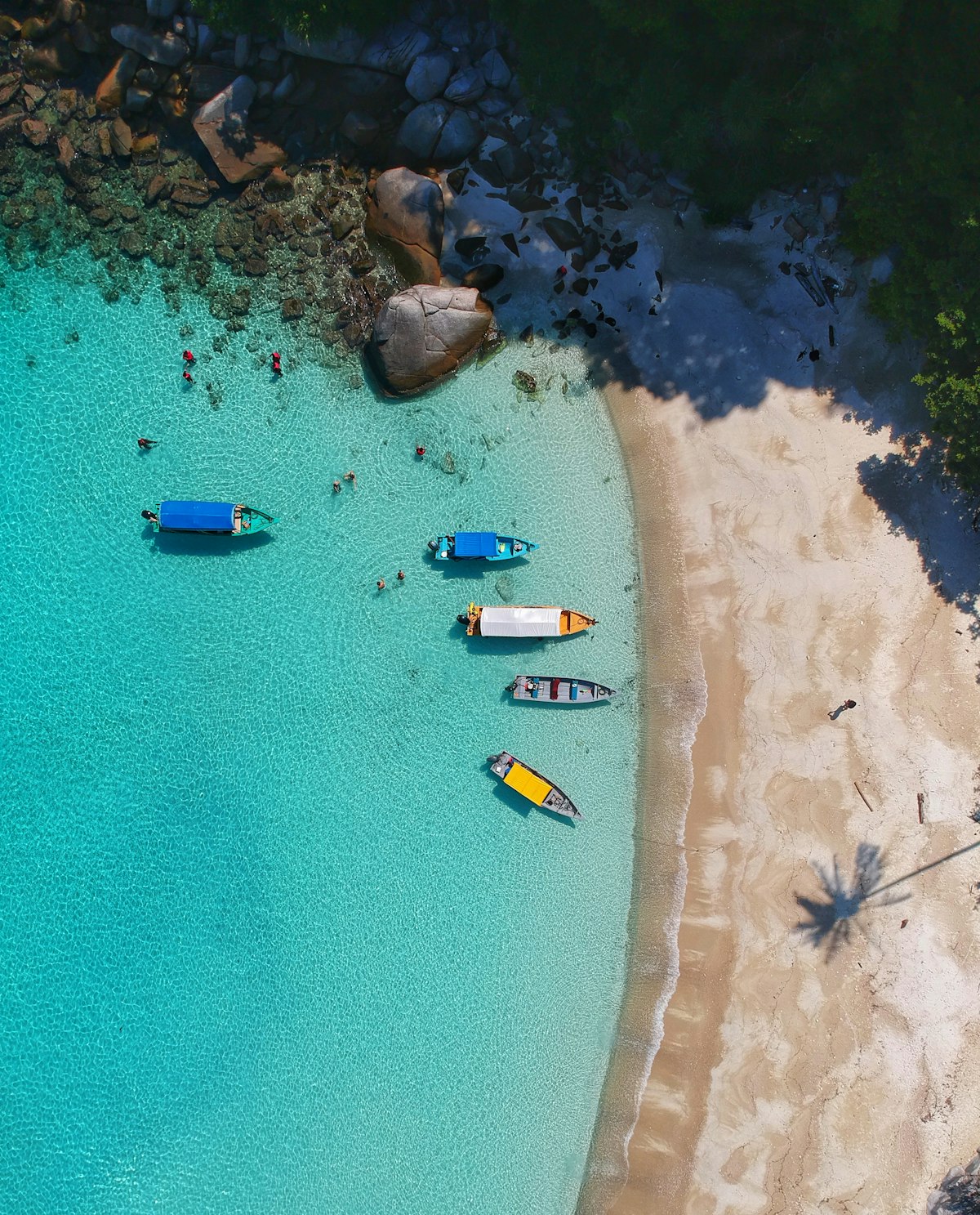 Sri Lanka: The Complete 10-Day Guide to Wildlife, Tea Country, and the South Coast
